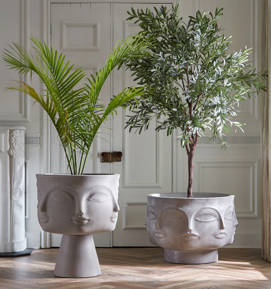 Dora maar planter