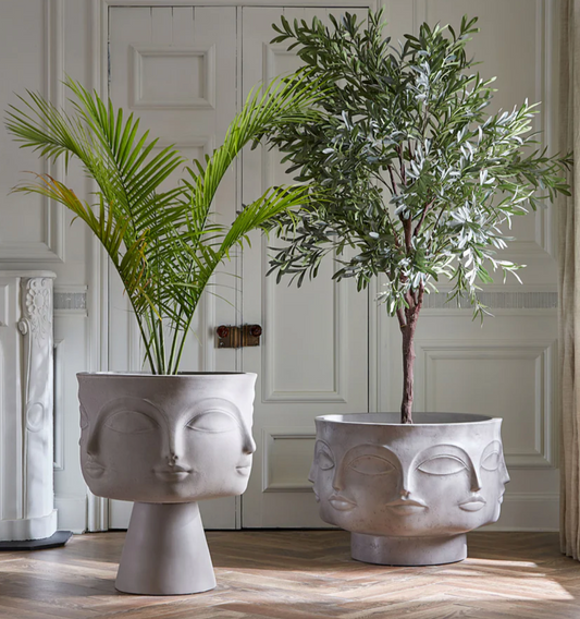 Dora maar planter