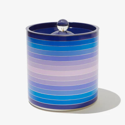 Fab fit fun x Ice bucket