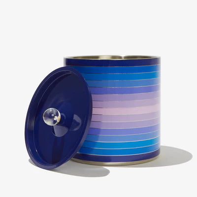 Fab fit fun x Ice bucket